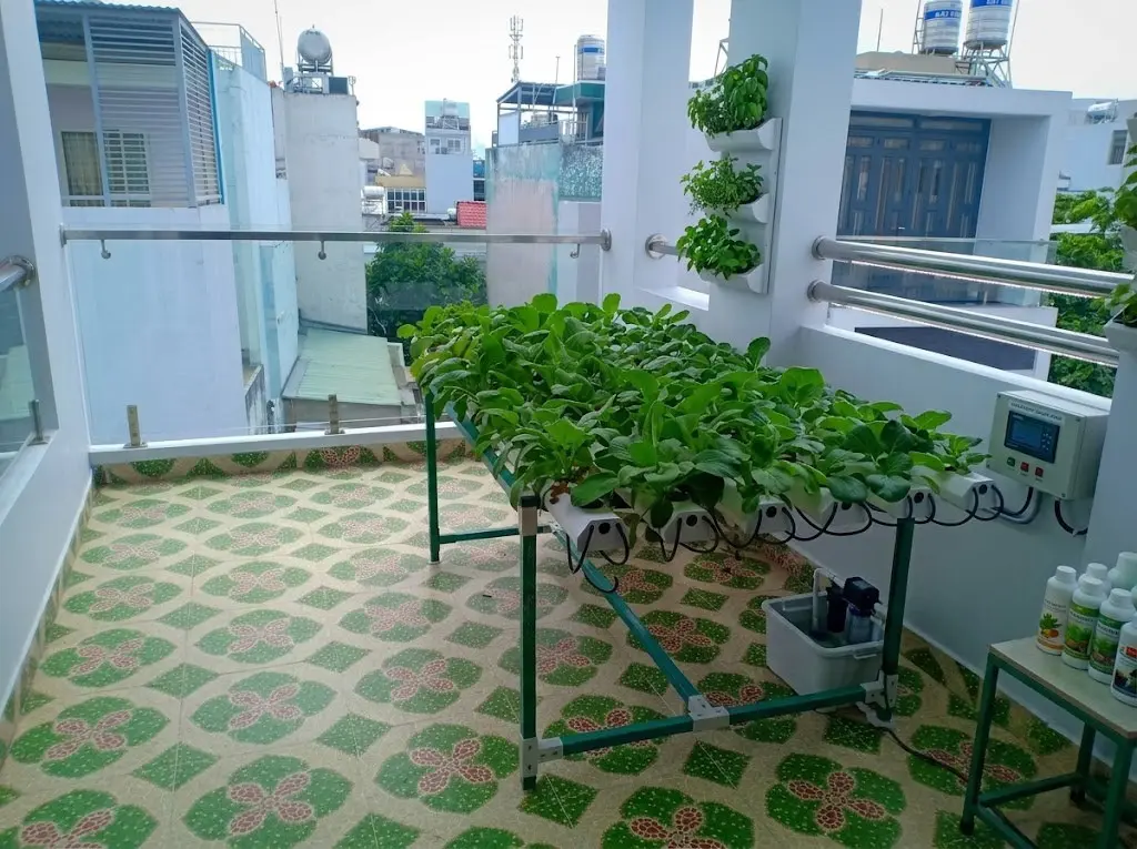 Vườn rau sạch ban công căn hộ chung cư thẩm mỹ