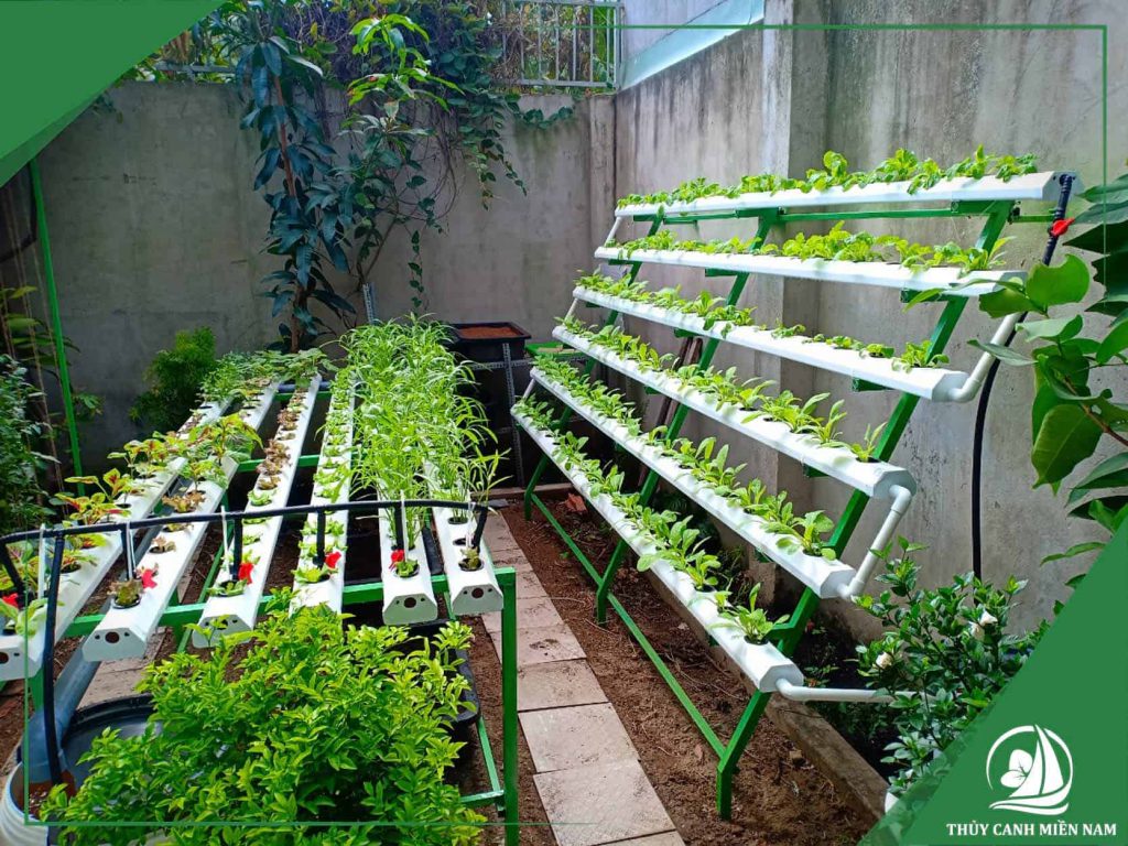 Mô hình vườn rau khí canh sử dụng điện Mặt Trời tại Lâm Đồng  Khoa học ứng  dụng  Vietnam VietnamPlus