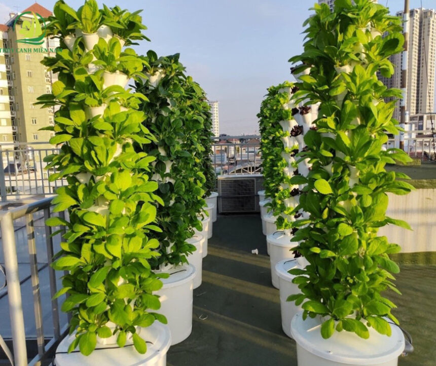 Công nghệ khí canh tận dụng tối đa không gian trồng rau sạch và tạo cảnh quan thẩm mỹ