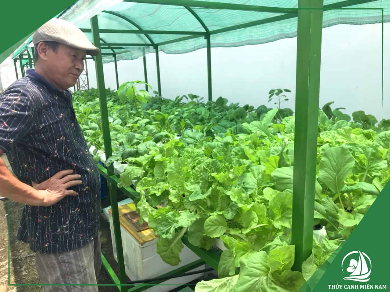 Bố trí mặt bằng vườn rau sân thượng nhà anh Cường