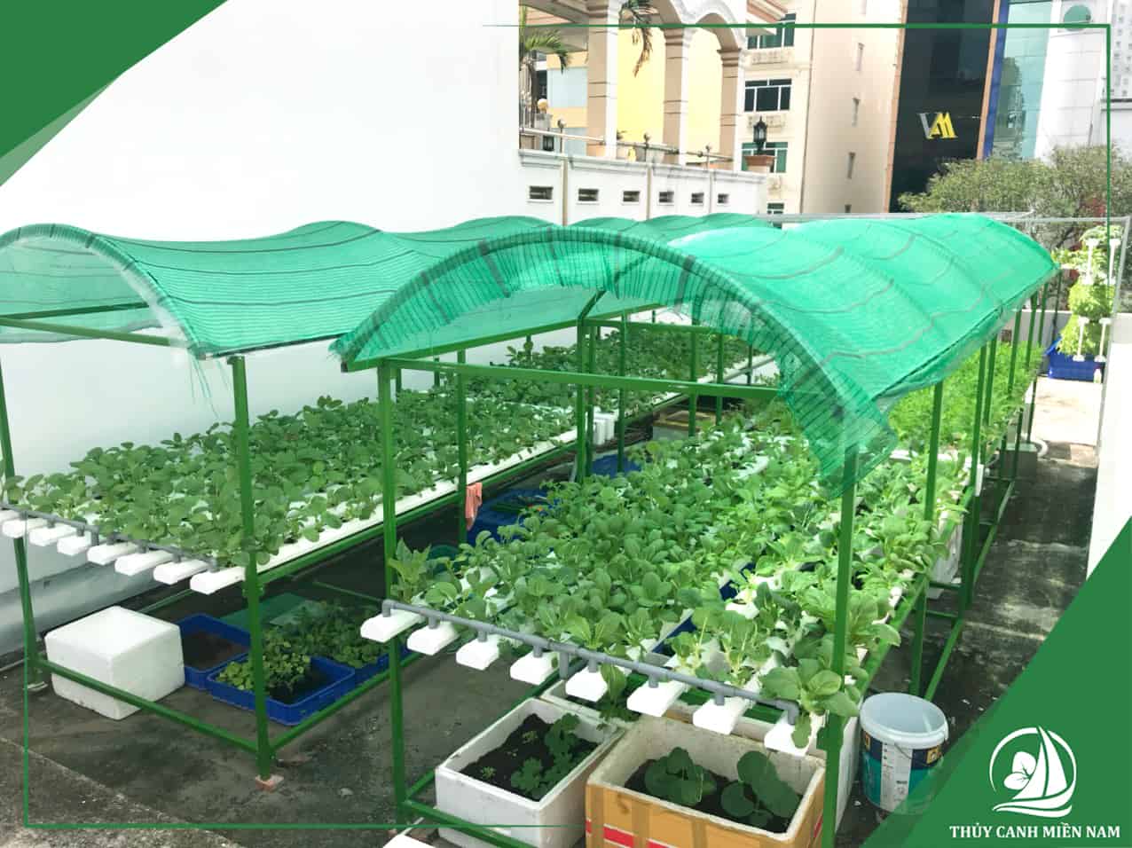 Cách chọn phong cách thiết kế vườn rau sân thượng phù hợp