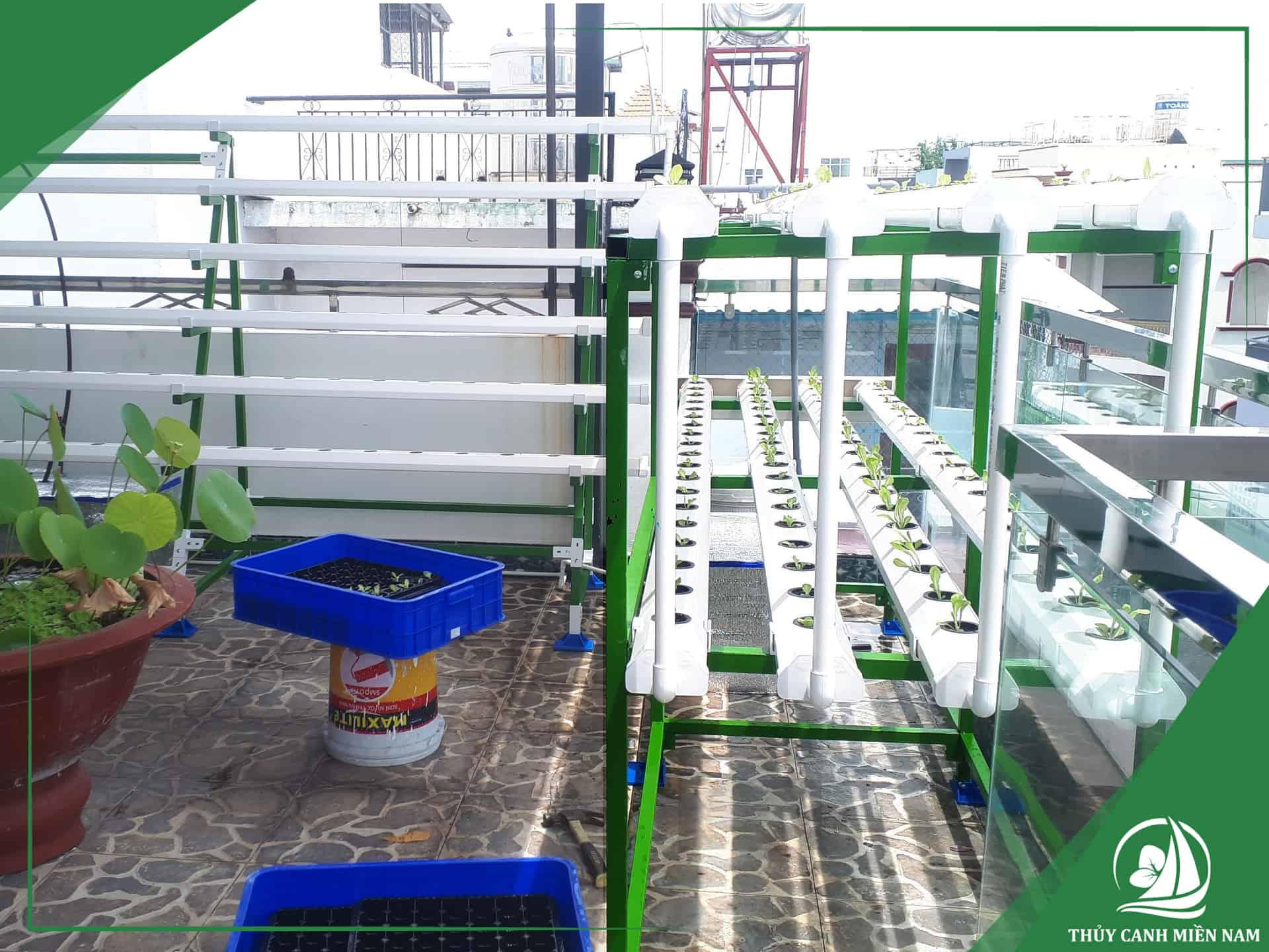 Thi công vườn rau sân thượng chị Thúy