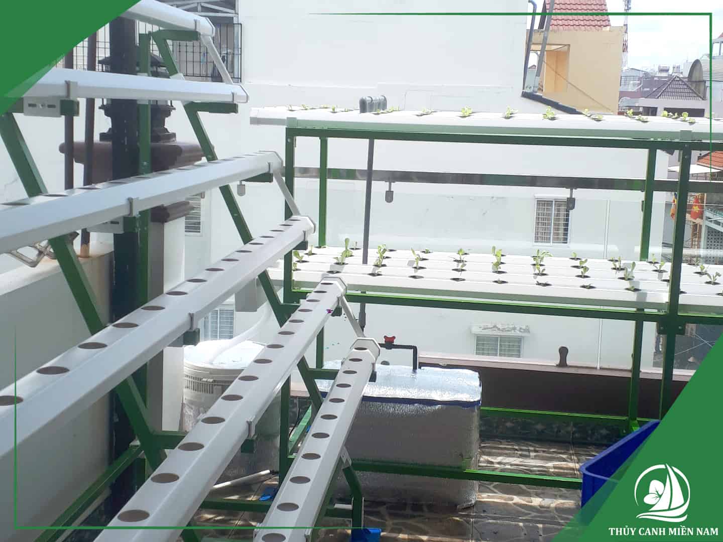 Vườn rau sân thượng nhà phố của chị Thúy tại Quận 11