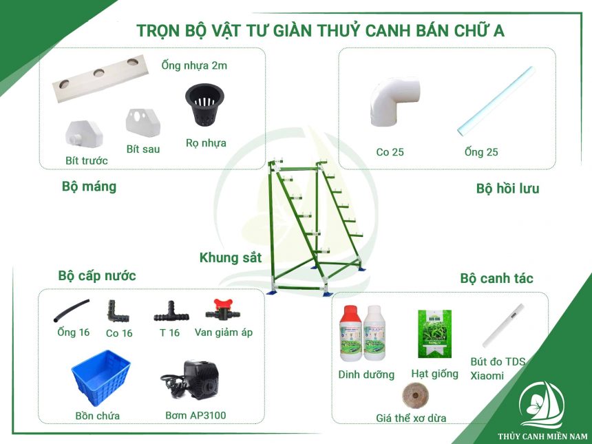 cau-tao-bo-trong-rau-thong-minh-dang-ban-chu-A