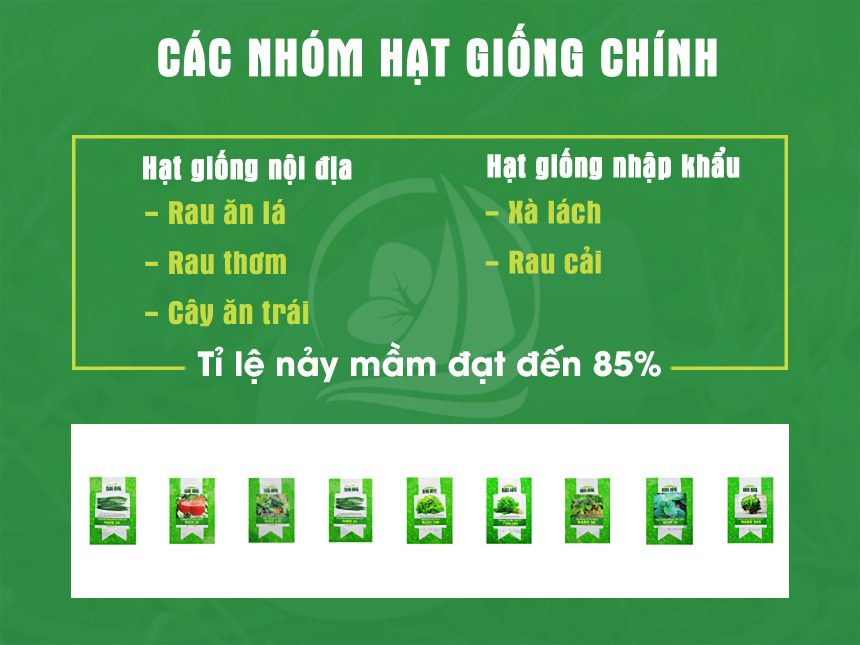 cac-nhom-hat-giong-thuy-canh-chinh