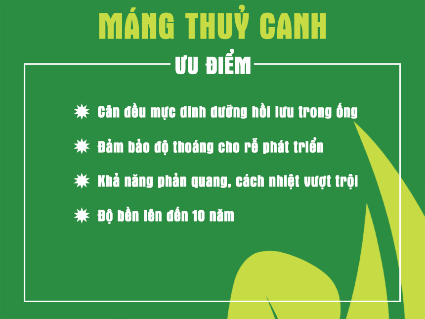 uu-diem-vuot-troi-cua-mang-thuy-canh-luc-giac