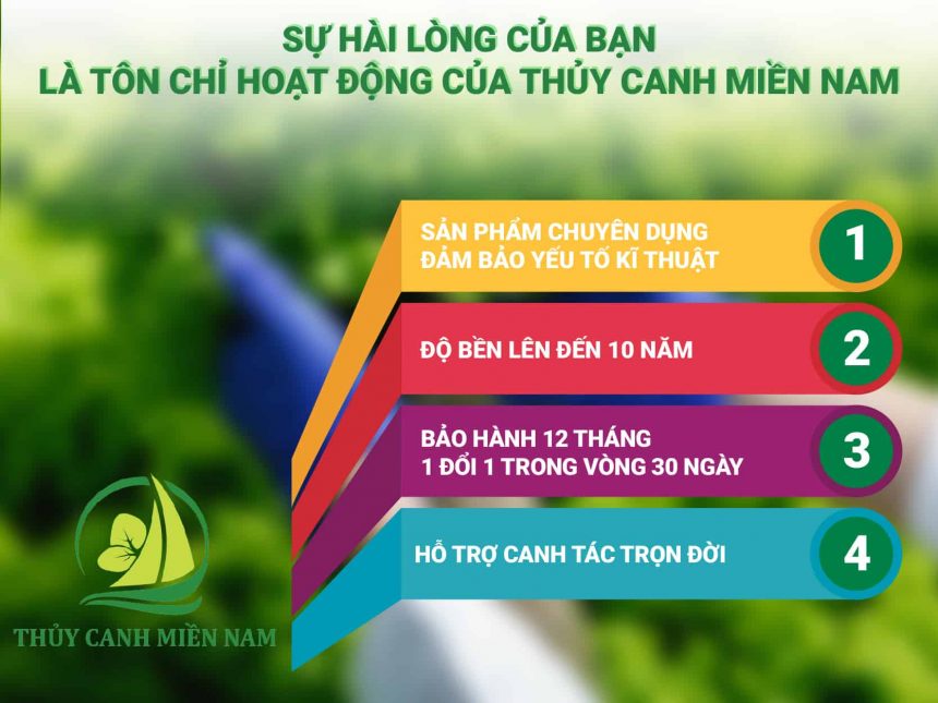 cam-ket-cua-Thuy-Canh-Mien-Nam-doi-voi-bo-trong-rau-thong-minh