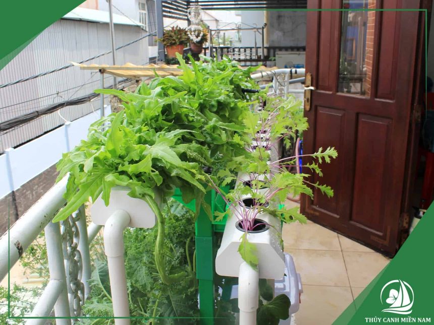 Giàn Sole 60 lỗ gọn nhẹ, phù hợp cho ban công nhà phố