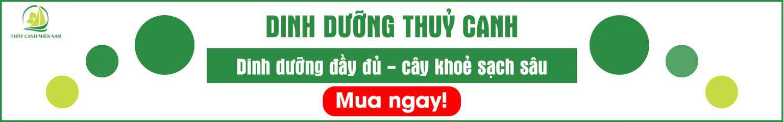 dinh-duong-thuy-canh