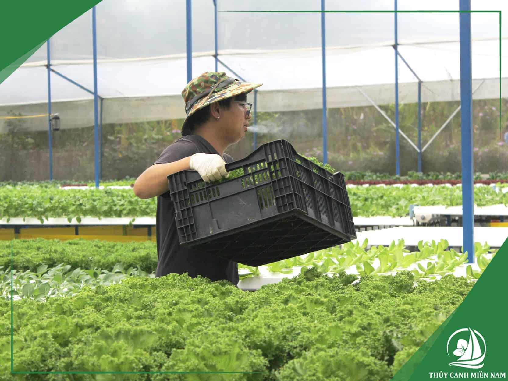Bảo trì và vận hành farm sản xuất sau khi bàn giao