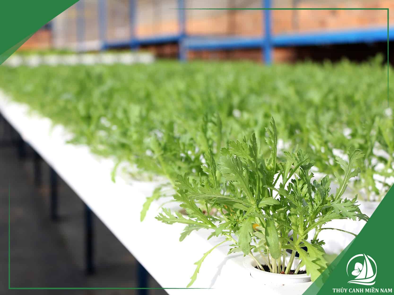 Vật tư và hệ thống kỹ thuật cho farm sản xuất nông nghiệp