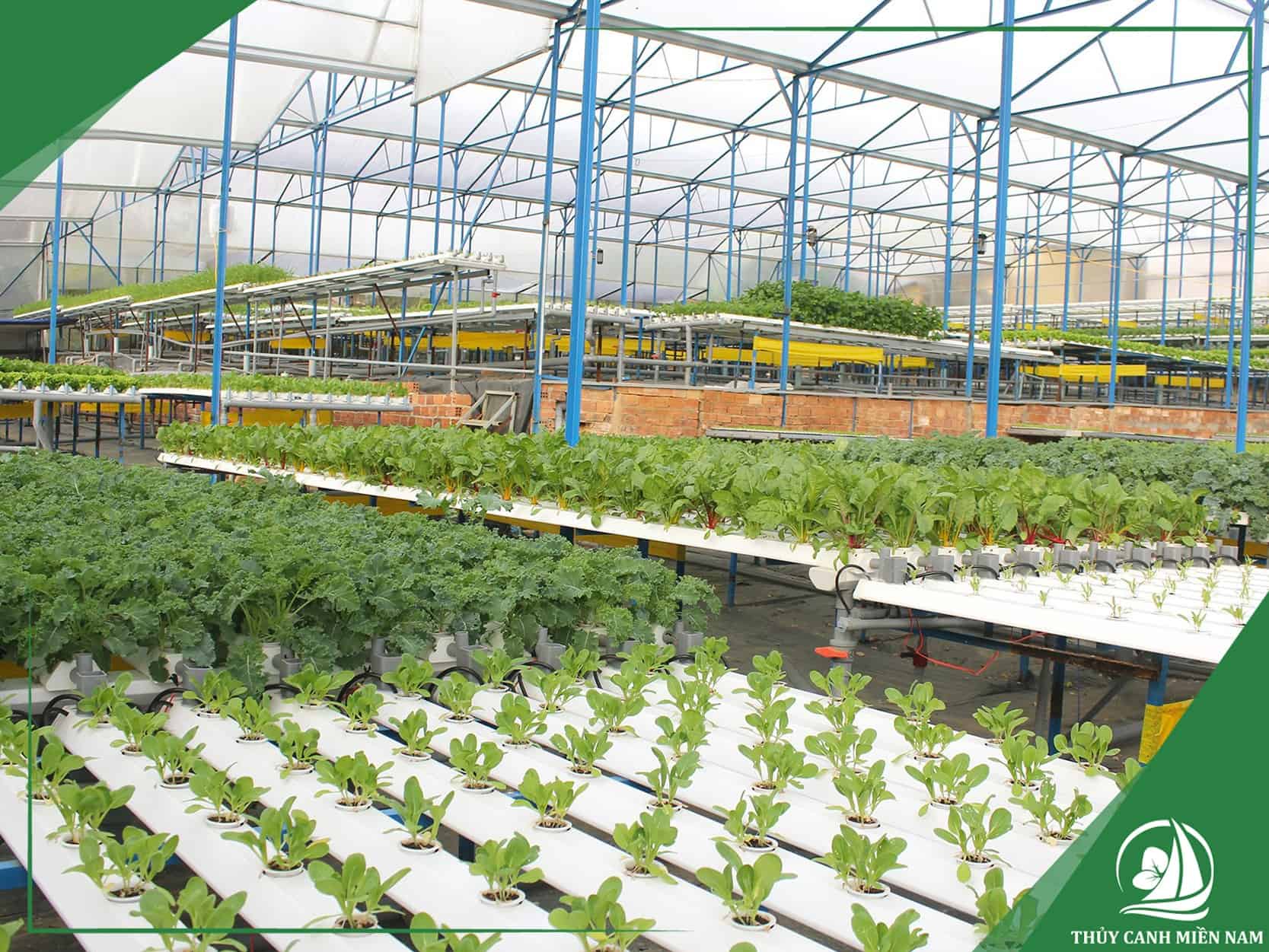 Kiểm tra và vận hành thử farm sản xuất sau thi công
