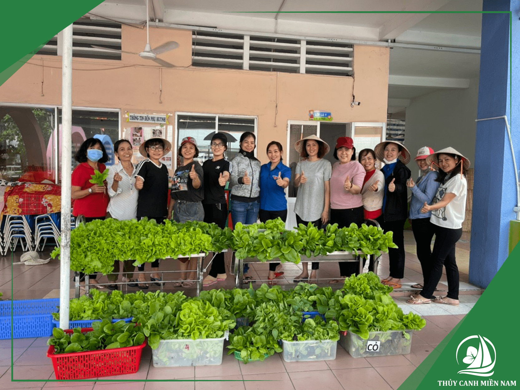 Không gian vườn rau thực nghiệm trên sân thượng trường học