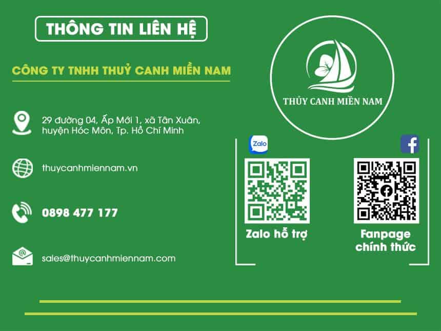 thong-tin-lien-he-thuy-canh-mien-nam