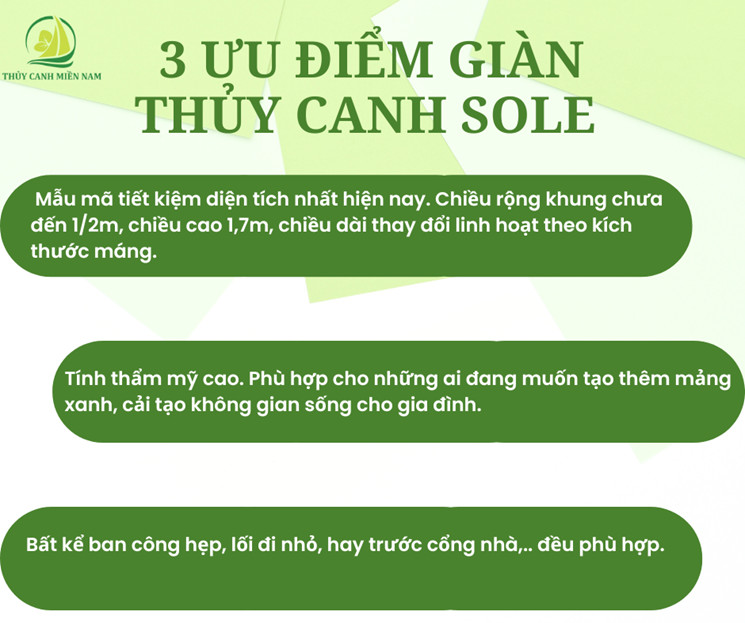 3-uu-diem-gian-thuy-canh-sole