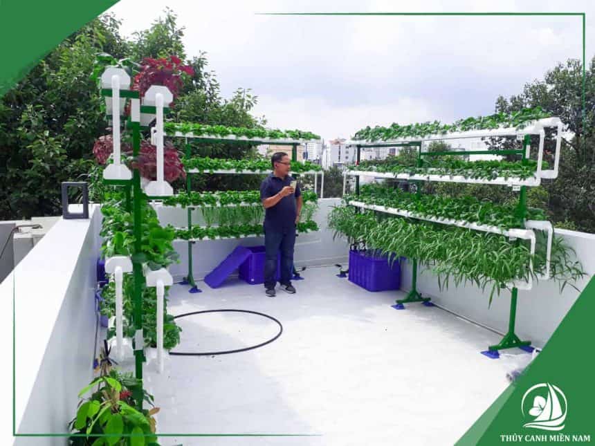 Thuỷ Canh Miền Nam đồng hành cùng khách hàng canh tác hiệu quả