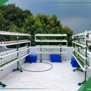 Dịch vụ thiết kế thi công vườn rau biệt thự