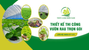 banner thiết kế thi công vườn rau trọn gói