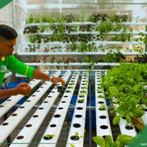 Dịch Vụ Sửa Chữa, Thay Thế Trang Thiết Bị Giàn Thuỷ Canh Tại Nhà