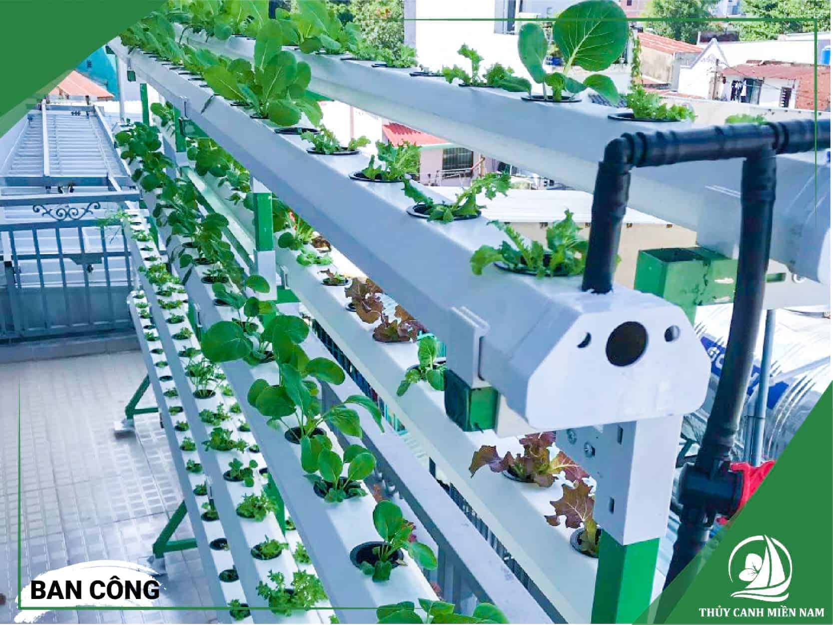 Ban công là vị trí lý tưởng nhất để thiết kế vườn rau sạch tại các chung cư và những nhà ống không có sân sau