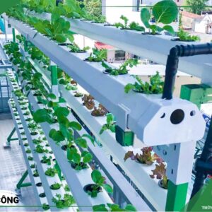 Dịch Vụ Kiểm Tra, Bảo Trì, Bảo Dưỡng Giàn Thuỷ Canh Định Kỳ