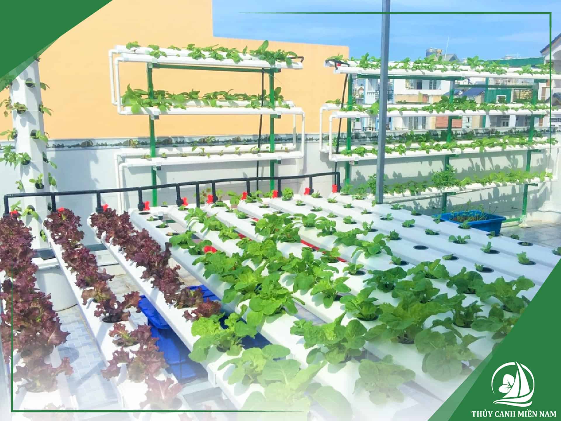 Sân thượng sử dụng giàn trải ngang kết hợp áp tường giúp tăng năng suất