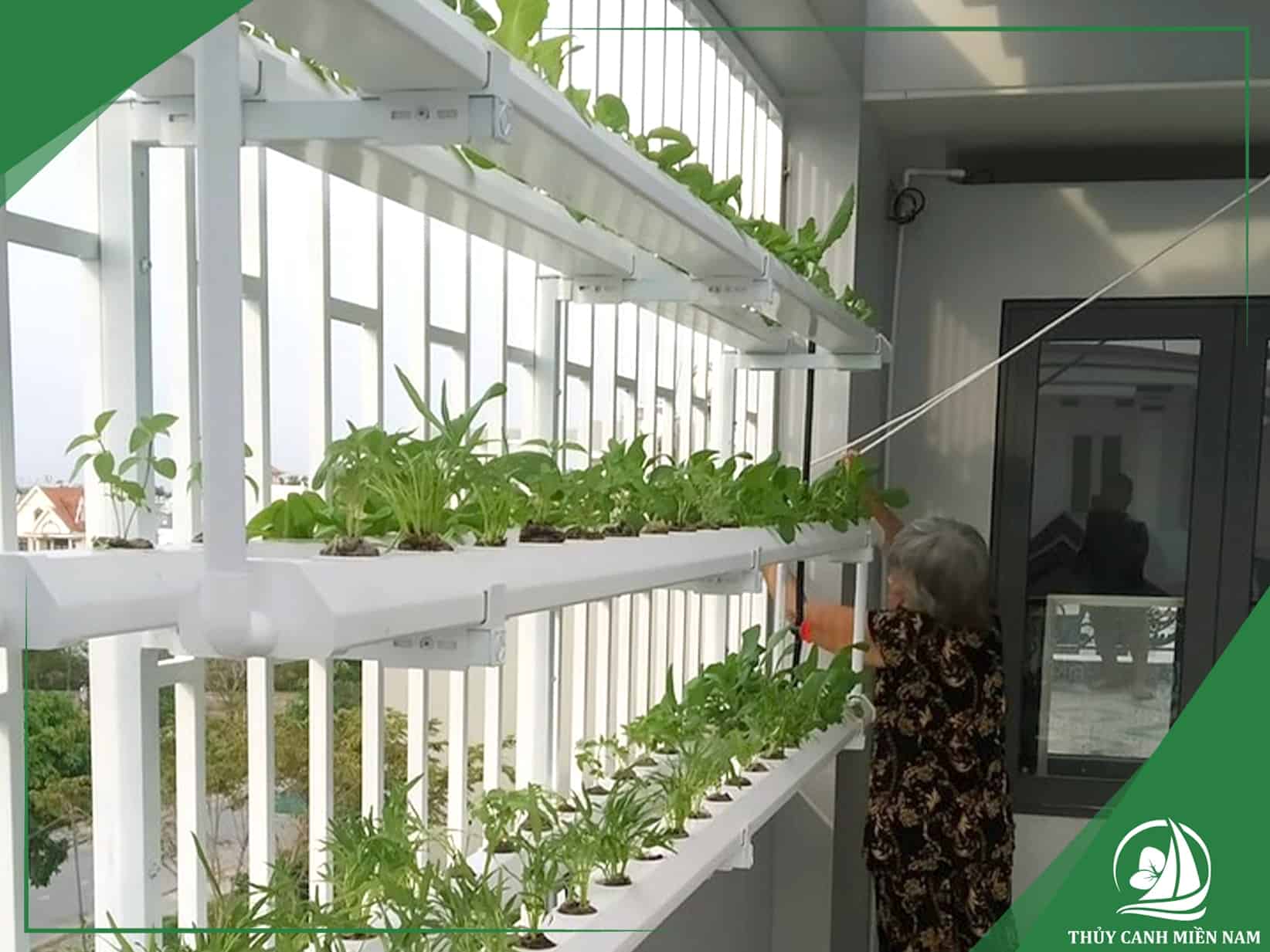 Giàn áp tường cho sân thượng đón 1 hướng nắng