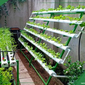 Bộ Trồng Rau Thuỷ Canh Thông Minh Dạng Bán Chữ A