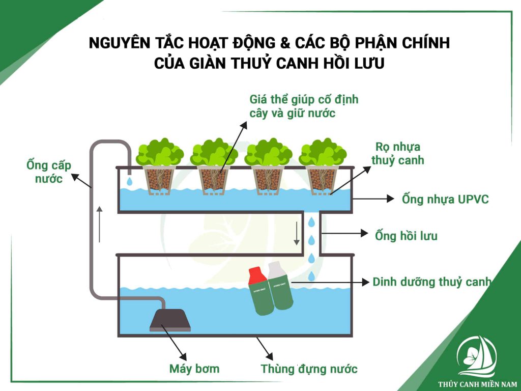 2 phương pháp trồng rau thủy canh tại nhà phổ biến nhất được các nhà phố yêu thích