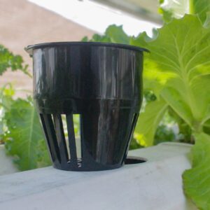 Rọ Nhựa Trồng Cây Ăn Trái Thuỷ Canh 90mm