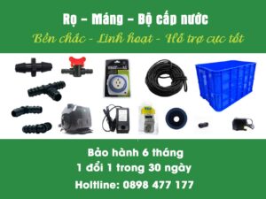 ro-mang-bo-cap-nuoc-thuy-canh-ben-chac-linh-hoat