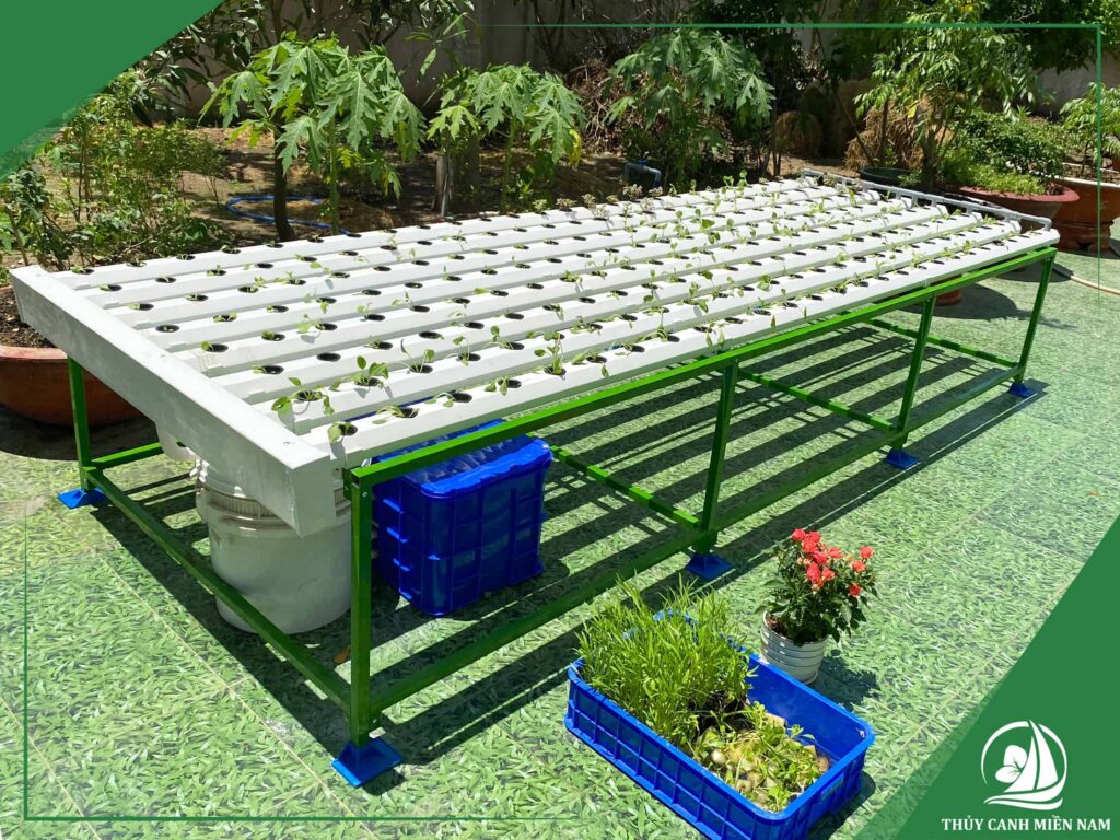Không gian xanh biệt thự hiện đại