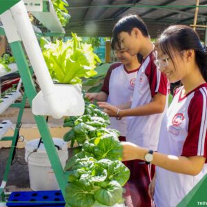 Dịch vụ thiết kế thi công vườn thực nghiệm trường học