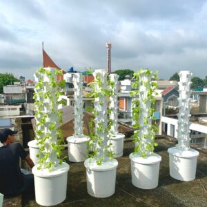 Bộ Trụ Trồng Rau Thủy Canh Bát Giác