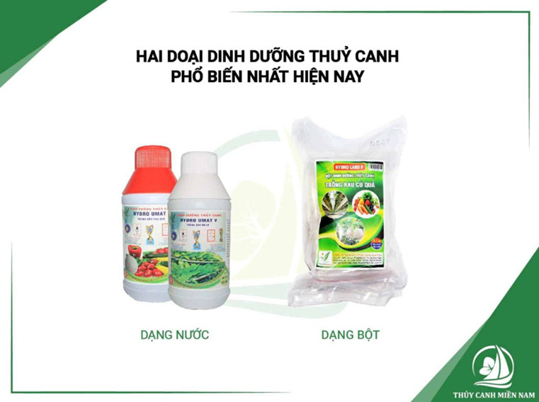 Dinh dưỡng dạng nước và dạng bột 