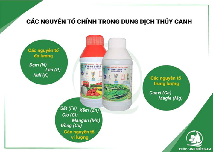 Các nguyên tố chính trong dung dịch dinh dưỡng thuỷ canh