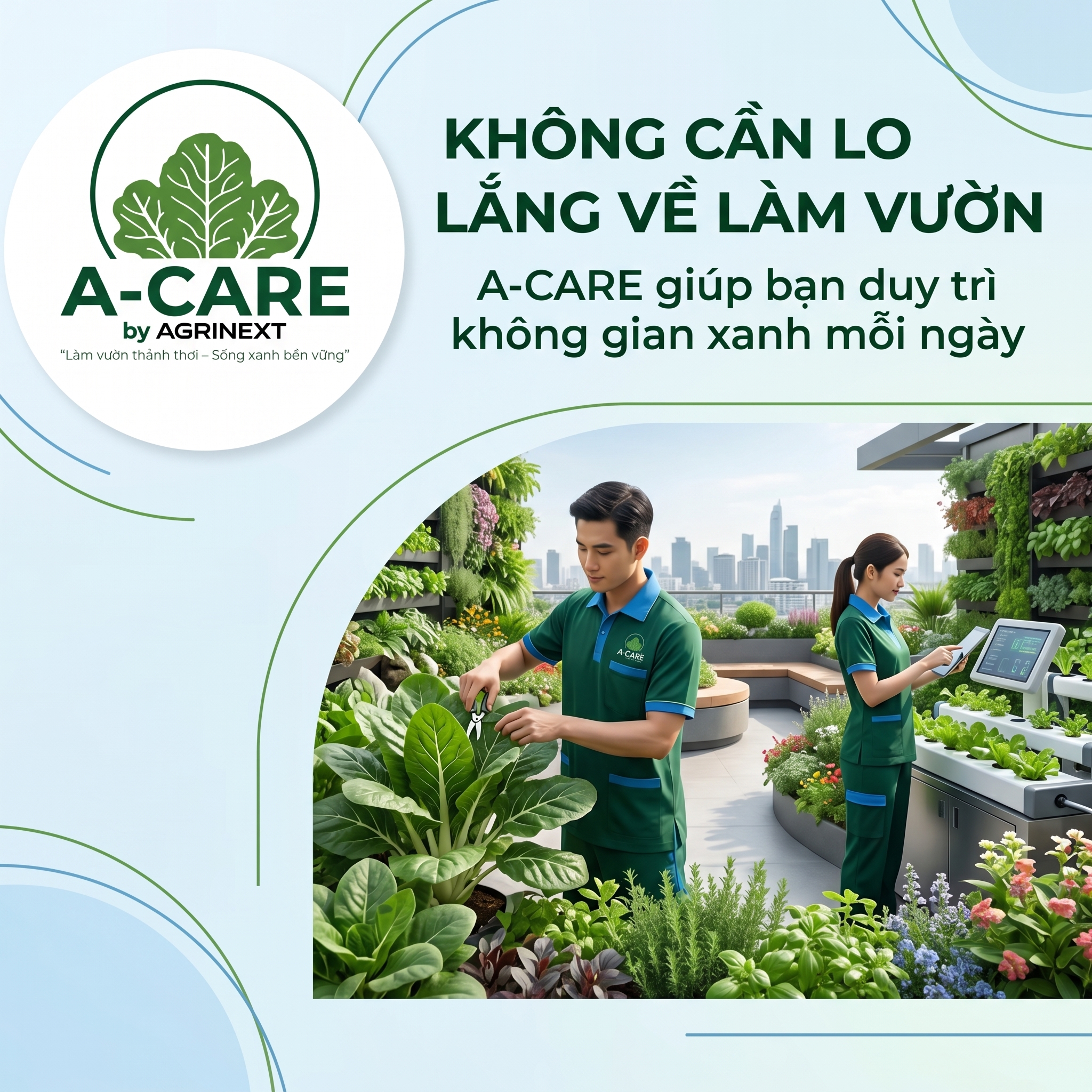 vườn rau sân thượng, trồng rau thuỷ canh
