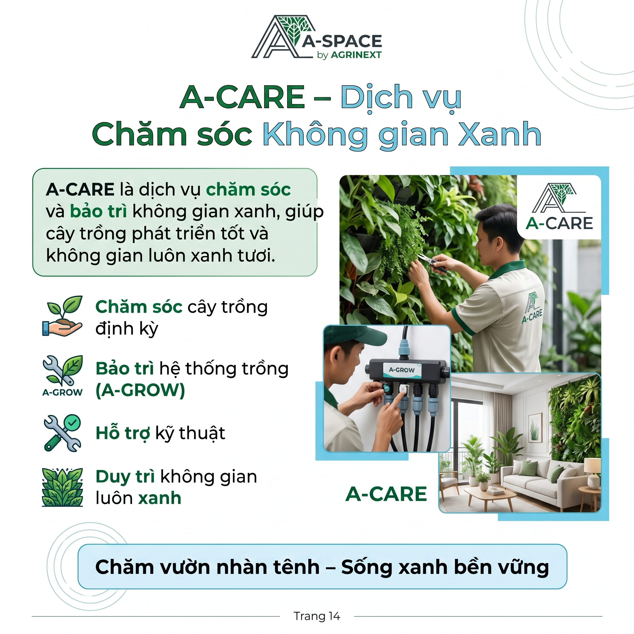 Bộ trồng rau thuỷ canh